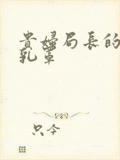 贵妇局长的蕾丝乳罩