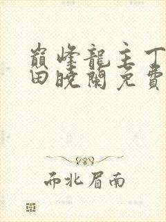 巅峰龙主丁长顺田晓兰免费阅读