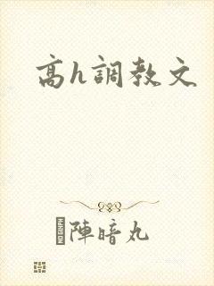 高h调教文