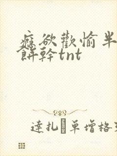 瘾欲欢愉半块小饼干tnt