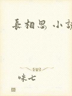 长相思 小说