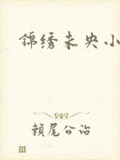 锦绣未央小说