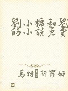 刘小棉和刘易文的小说免费阅读