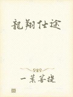 龙翔仕途