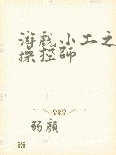 游戏小工之元素操控师