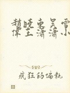 赵晓东吴雪晴郑伟王潇潇小说名字