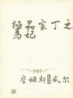 极品家丁之册母为妃