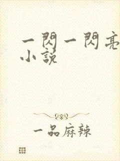 一闪一闪亮星星小说