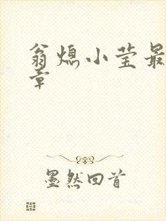 翁熄小莹最新节章