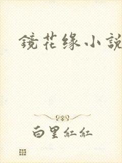 镜花缘小说