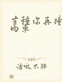 有种你再撞一下肉车