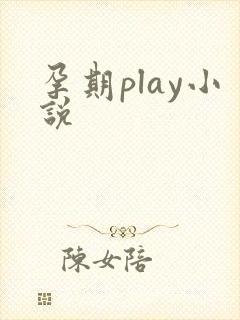孕期play小说
