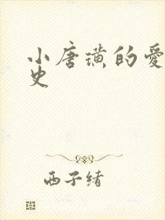 小唐璜的爱情历史