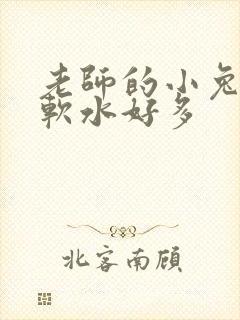 老师的小兔子好软水好多