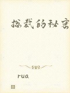 总裁的秘密情人