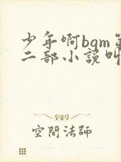 少年啊bgm第二部小说叫什么