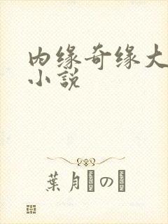 内缘奇缘大团圆小说