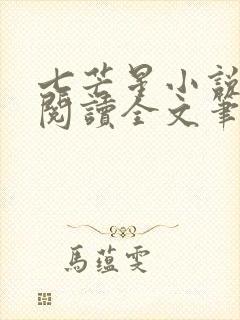 七芒星小说免费阅读全文笔趣阁