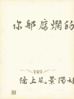 你那腐烂的直肠