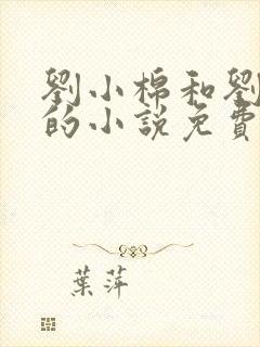 刘小棉和刘易文的小说免费阅读