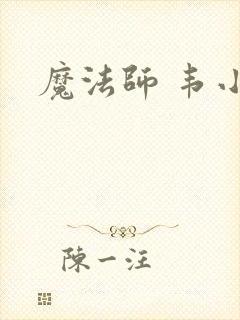 魔法师 韦小宝