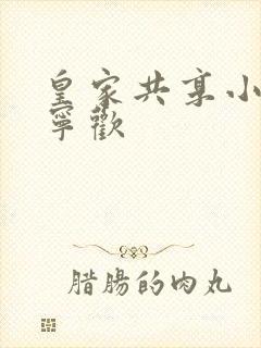 皇家共享小公主宁欢