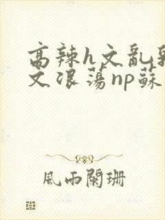 高辣h文乱乳h文浪荡np苏夏