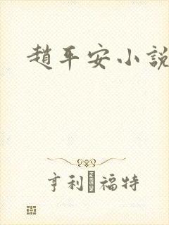 赵平安小说主角