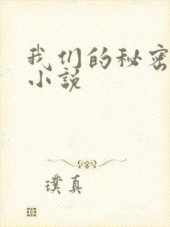 我们的秘密泰剧小说
