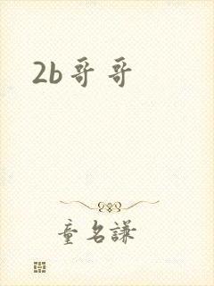 2b哥哥