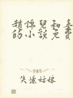 赵锦儿和秦慕修的小说免费阅读全文