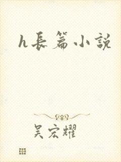 h长篇小说