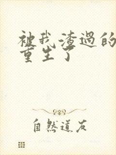 被我渣过的男主重生了