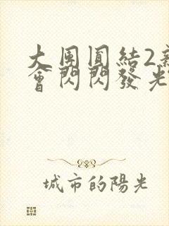 大团圆结2亲情会闪闪发光亲情会