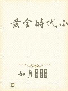 黄金时代小说