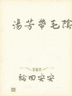 汤芳带毛阴部