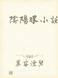 阴阳眼小说