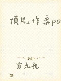 顶风作案po