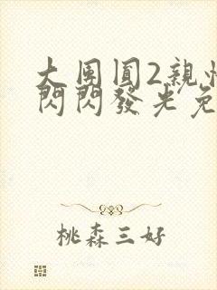 大团圆2亲情会闪闪发光免费