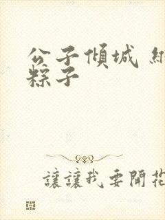 公子倾城 维和粽子