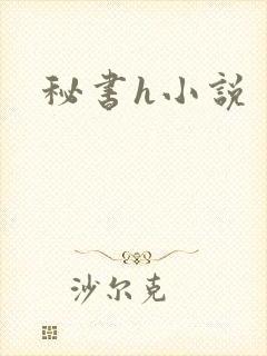 秘书h小说