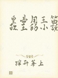 皇帝用玉笛整摄政王的小说