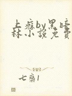 上瘾by黑暗森林小说免费