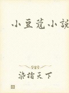 小豆蔻小说