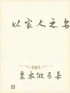 以家人之名小说