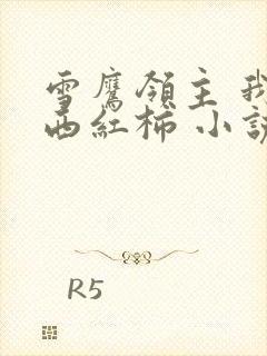 雪鹰领主 我吃西红柿 小说