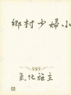 乡村少妇小说