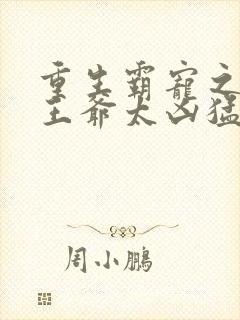 重生霸宠之摄政王爷太凶猛