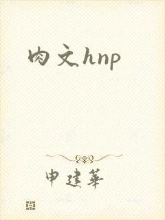 肉文hnp