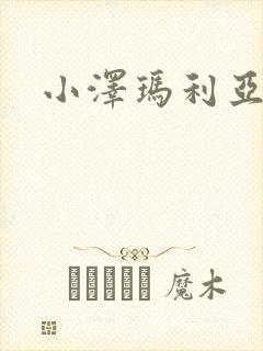 小泽玛利亚作品